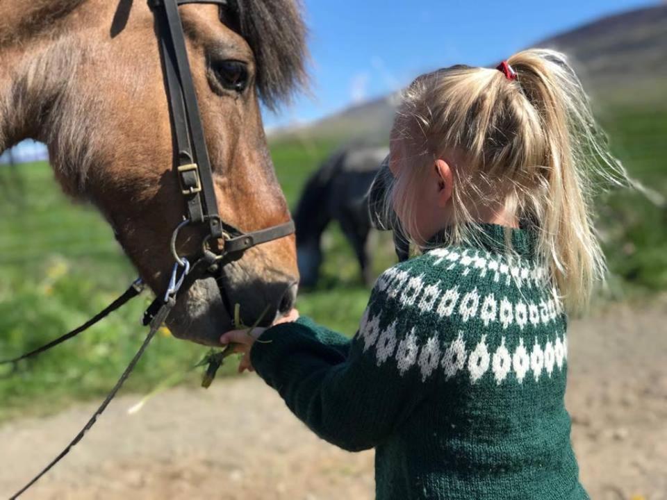 Sythra-Skoerthugil Guesthouse Varmahlid  Bagian luar foto